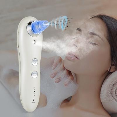 China Acne Treatment Wholesale Microdermabrasion Machine Pore Tool Electric Facial Vacuum Acne Dead Skin Remover Blackhead Remover Tool Kit for sale