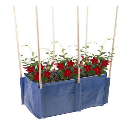 China Raise Gallon Square Planting Bag Blue Edge Wrapped PE To Raise Cube Cloth Bagged To Raise Pot For Square Vine Garden Pot for sale