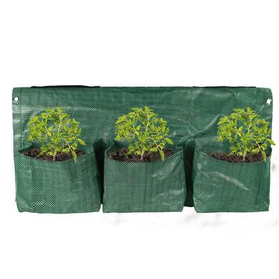 China Raytop Horticulture Garden Potato Planting Bag Pe Material Vegetable Grown Planter Bag Potato Vegetables Grow Bag for sale