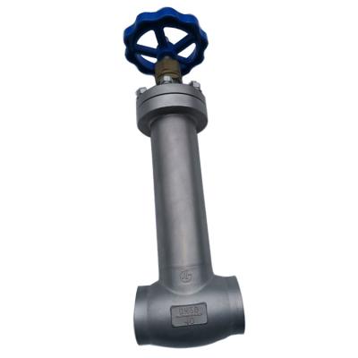 China Stainless Steel 304 /316  Low Temperature PCTFE Disc Seal Cryogenic Globe Valve -196~+80℃ for sale