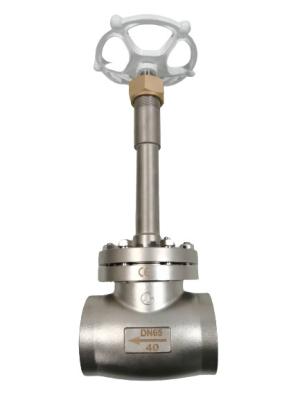 China Liquid Ammonia SS304 SS316 Cryogenic Globe Valve for sale