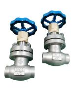 China DN25 SUS304 Cryogenic Socket Weld Globe Valve For Liquid Gas for sale