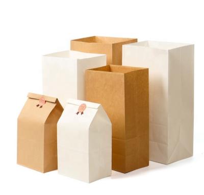 China Best Selling Recyclable Kraft Paper Bag Sealing Alibaba Supplier Rich Experience Mini Brown Paper Bag For Flour for sale