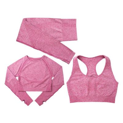 China Breathable Seamless Sports Bra Crop Yoga Jacket 3 Piece Long Sleeve Yoga Panties Set High Quality Yoga Tank Tops Clothing Set for sale