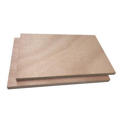 China Modern Okoume Veneer Popular Customized Waterproof Plywood For Construction for sale