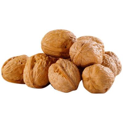 China Nutrition Cheap Chinese Xinjiang 185 Walnut Small Dried Wholesale for sale