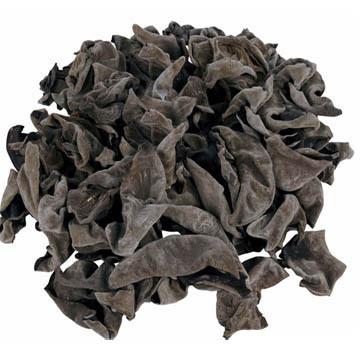 China Hot Sale China Dried Manufacture Customized High Quality Health Dried Back Mushroom for sale