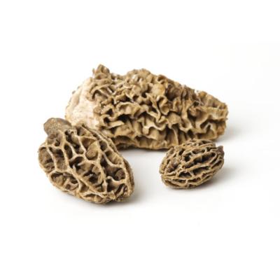 China Factory Wholesale Good Price Dried Fresh Dried Black Nightshade Mushroom Boost Digestion for sale