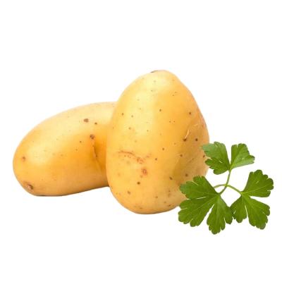 China China Wholesale Fresh Factory Fresh Potatoes For Sale Price Suppliers for sale