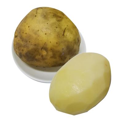 China Wholesale Fresh Factory Wholesale Pakistan Turkey Egyptian Potato,Yellow Color for sale