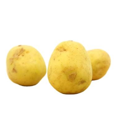 China 2021 spot goods low price good quality fresh hot export organic potato for sale