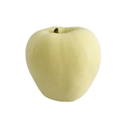 China Various Factory Fresh Sale Apple Fruit Widely Used Golden Delicious Golden Apple Price for sale