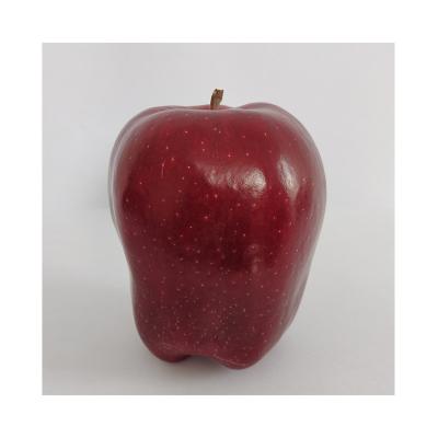 China Mini Top Quality New Crop Apple Huaniu Fresh Fresh Red Fruit Apple With Cheap Price for sale