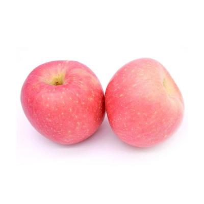 China Excellent Quality Fresh Ripe Delicious Red Fuji Apple Fruits In China For Export for sale