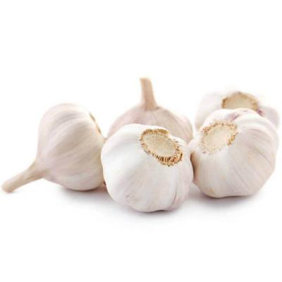 China Factory Wholesale High Quality Fresh Garlic Dehydrated Organic Dehydrated Garlic for sale