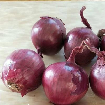 China Fresh Wholesale Fresh Red Onions Price Ton Exporter India for sale