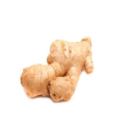 China New Arrival Best Price Fresh Suppliers China Air Dried Ginger For Sale for sale