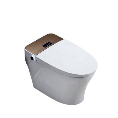 China Automatic Dry Clean Sanitary One Piece Washing Sanitary Ware Hotel Auto Operation Self Washing Toilet Smart Toilet for sale