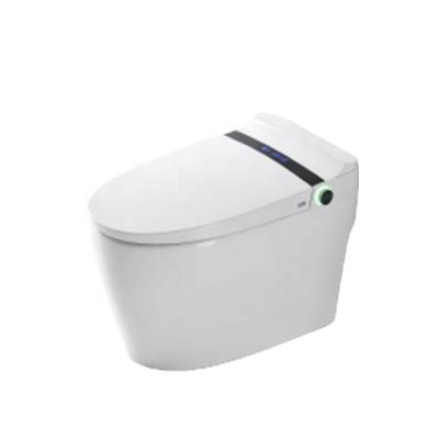 China Ceramic Hotel Bathroom Automatic Operation Toilet Pulse Constant Temperature One Piece Seat Toilet for sale