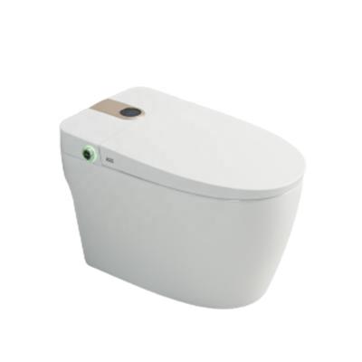 China Automatic Operation Wholesale Cheap Price One Piece Toilet Push Button Switch Floor Mounted Smart Toilet for sale