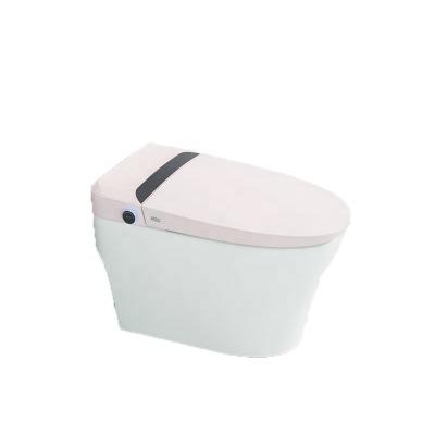 China Sanitary Amenities Automatic Operation Price Bidet Dry Self Clean One Piece Sanitary Toilet With Attachment for sale