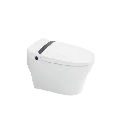 China Smart Toilet Auto Flush Floor Mounted Automatic Operation Water Saving Toilet Electric Toilet for sale