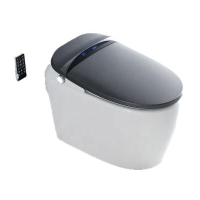 China Automatic Operation Bidet Toilet Seat Cover Smart Pulse Toilet Bathroom RF Remote Control WC Smart Toilet for sale