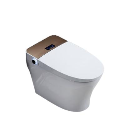 China New Smart Auto Operation Toilet Constant Temperature Electric Sanitary Seat Tankeless Toilet for sale