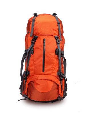 China Hiking Backpack 2020 Custom Canvas Mountain Travel Backpack Climbing Waterproof Tactical Hiking Bag for sale