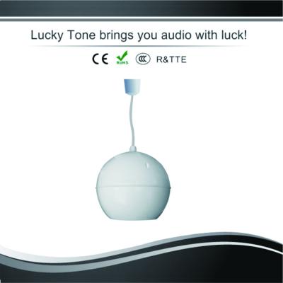 China Indoor Without Ceiling 10W False Pendant Speaker for sale