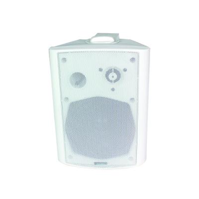 China ABS Lucky Tone Speaker 20/30/40 W New Product Idea 2019 Manufacturing The Speaker To Wall Speaker for sale