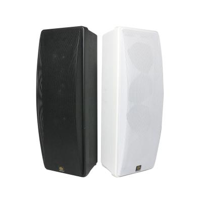 China ABS 402 Series II 120W To Full Range 8ohm Wall Mounted High Fidelity Column - Audio Driver Array Speaker Sound Good for sale