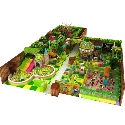 China Wooden New Design Commercial Jungle Gym Soft Play Equipment Kids Slides Indoor Plastic Playground for sale