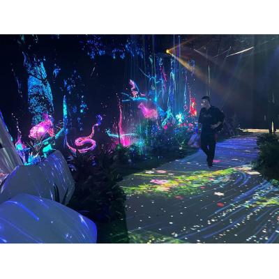 China 3D Hologram Interactive Floor Projection Game Outdoor Interactive Floor System Customized for sale