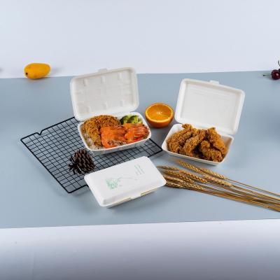 China fire pit clay waterproof biodegradable coatedno added pfas cardboard food tray cardboard food tray lunch food white paper box for sale