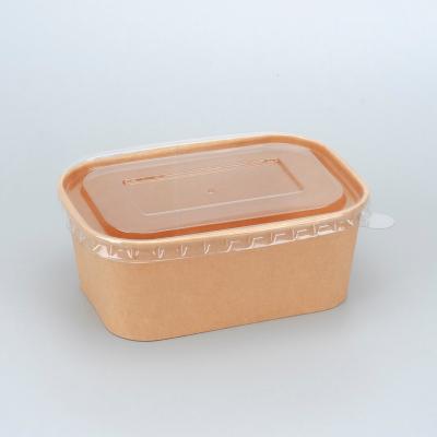 China Best Disposable Kraft Paper Disposable PriceCraft Rectangular Paper Box for sale