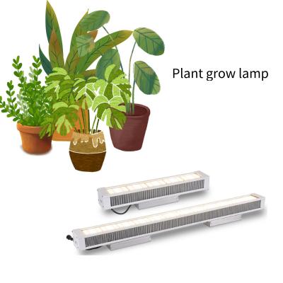 China Seed Starting Bestselling Waterproof 0-10 Stage Dimming 640W LED Plant Long Strip Hydroponic Grow Lamp Indoor Plant Lamp for sale