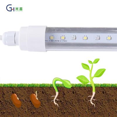 China Seed Starting 0.9M Vegetable IP65 Water Cultivation Greenhouse Integrated Lamp Plant Lamp Waterproof Led Growth Lamp for sale