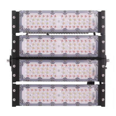 China Seed Starting 200W Family Farm Indoor Plant Grow Lamp Vegetable Led Horticultural Lamp for sale