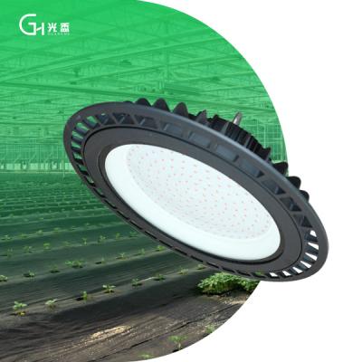 China Seed Starting Full Spectrum Red and Blue Light to Promote Indoor Plant Growth Lights 100W150W 200W Vegetables LED Plant Grow Lights for sale