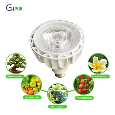 China Seed Starting Made in China E27 Indoor Plant Growth Lamp 24W COB Spotlight LED Bulb Plant Growth Lamp 220V 110V for sale