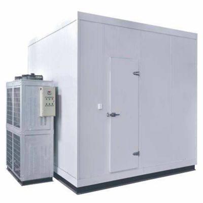 China Customized Industrial Commercial Blast Freezers by Chicken Size Certificate Container and Fish Shop Price for sale