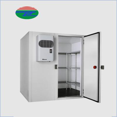 China Custom Container China Cold Storage Store Walk In Cold Room Colder Price Fresh Fruits And Vegetables for sale