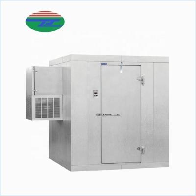 China Top Selling Container Storage Refrigeration Chiller Rooms Walk-in Freezer Cooling Cold Room For Seafood for sale