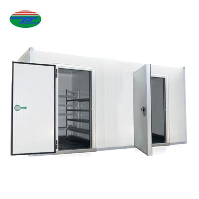 China Container Blast Freezer Industrial Cold Room For Seafood Walk In Freezer For Seafood for sale