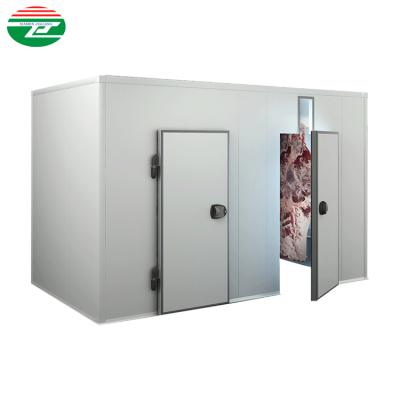 China 2021 China Container Walk In Cold Room Large Chillers For Meat Cold Storage For Fish for sale