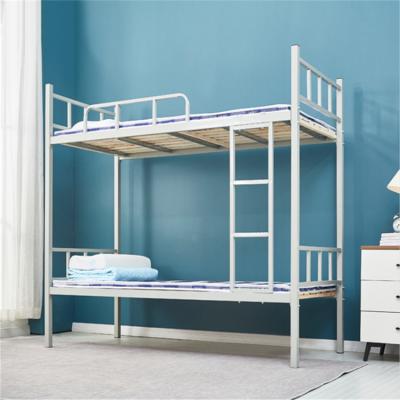 China Modern School Dormitory Bunk Bed Apartment Bed Staff Dormitory Steel Frame Bed for sale