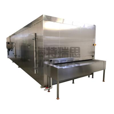 China Cheap Factory 2500 3000 Kgs Per Hour Iqf Tunnel Freezer For Meat Freezing For Meat Beef Pork Blood Chicken for sale