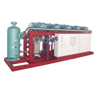 China food & Beverage Factory Parallel Compressor Rack Compressor Unit for sale