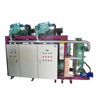 China food & Beverage Factory CE Certified Multi Compressor Parallel Rack Condensing Unit for sale